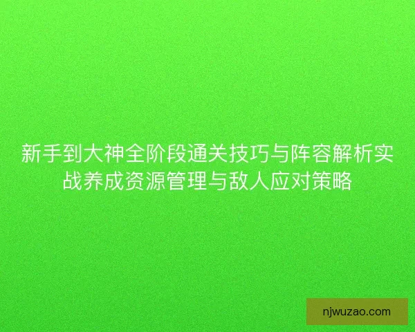 新手到大神全阶段通关技巧与阵容解析实战养成资源管理与敌人应对策略 新手到大神全阶段通关技巧与阵容解析实战养成资源管理与敌人应对策略