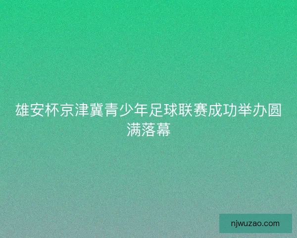 雄安杯京津冀青少年足球联赛成功举办圆满落幕 雄安杯京津冀青少年足球联赛成功举办圆满落幕