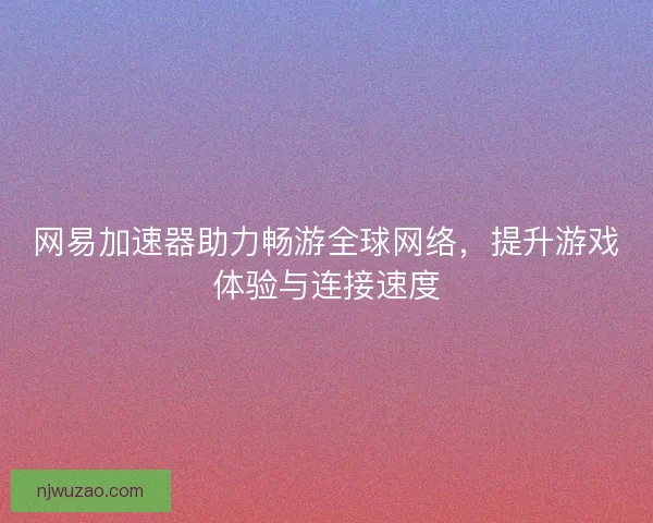 网易加速器助力畅游全球网络，提升游戏体验与连接速度